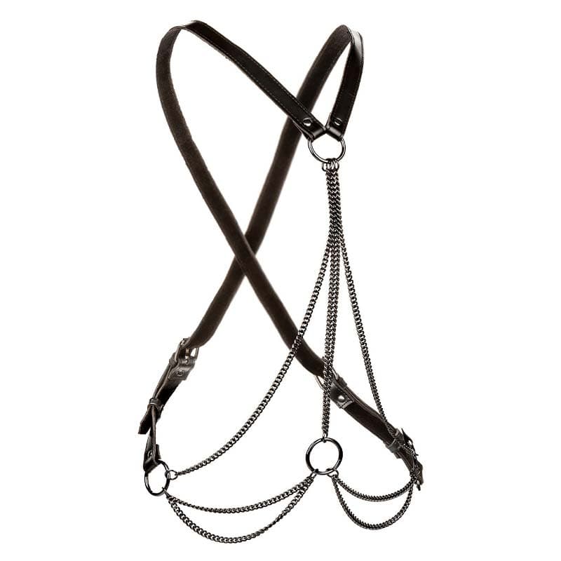 Calexotics Multi Chain Harness Plus size - Private Play