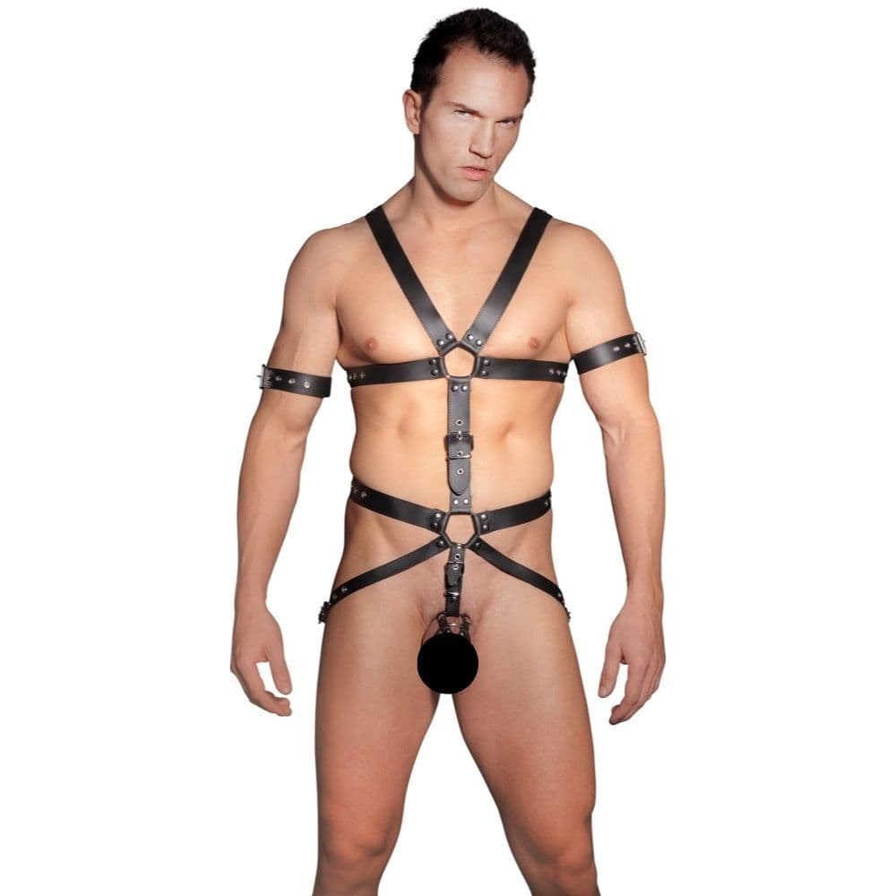 ZADO læder harness-S-M - Sexshop.dk