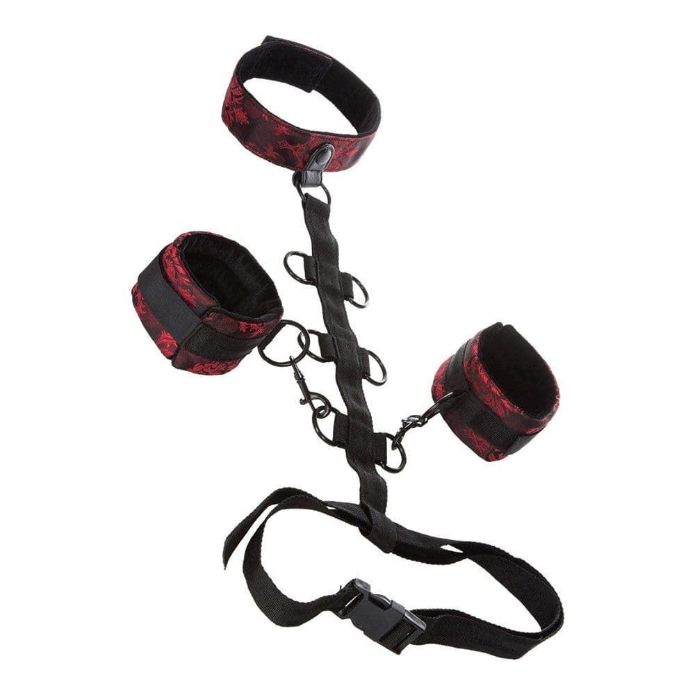 Scandal Collar Body Restraint - Winkwink.dk
